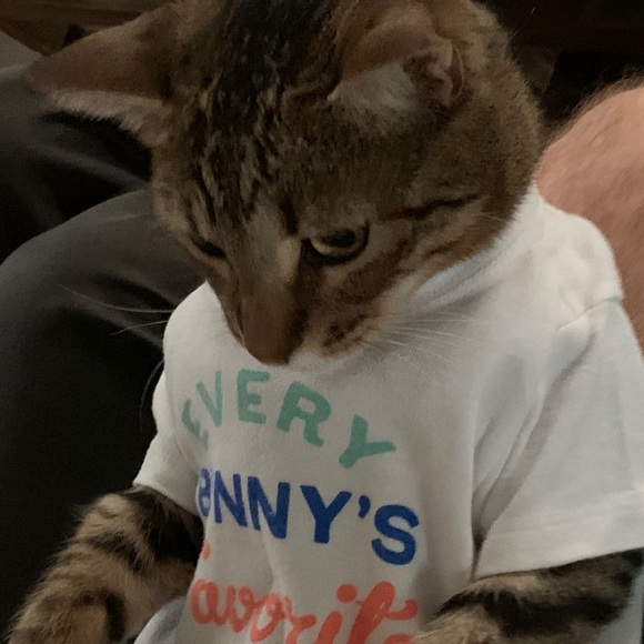 kittycatfish